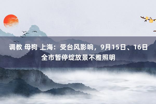 调教 母狗 上海：受台风影响，9月15日、16日全市暂停绽放景不雅照明