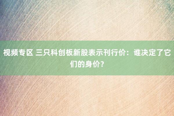 视频专区 三只科创板新股表示刊行价：谁决定了它们的身价？