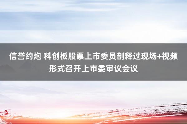 信誉约炮 科创板股票上市委员剖释过现场+视频形式召开上市委审议会议