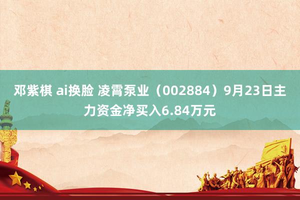 邓紫棋 ai换脸 凌霄泵业（002884）9月23日主力资金净买入6.84万元