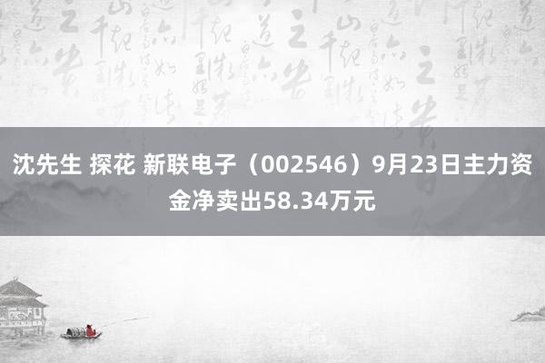 沈先生 探花 新联电子（002546）9月23日主力资金净卖出58.34万元