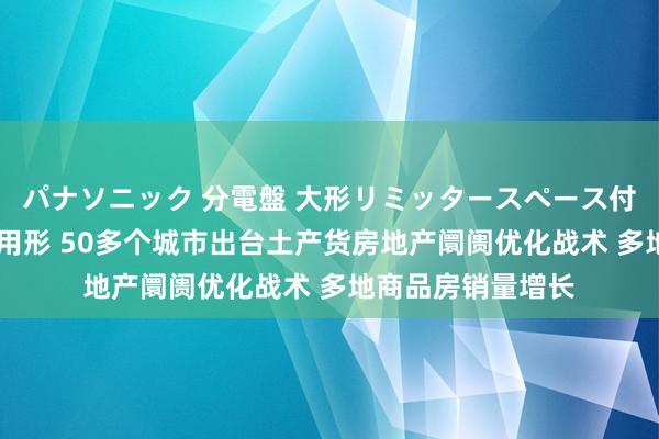 パナソニック 分電盤 大形リミッタースペース付 露出・半埋込両用形 50多个城市出台土产货房地产阛阓优化战术 多地商品房销量增长