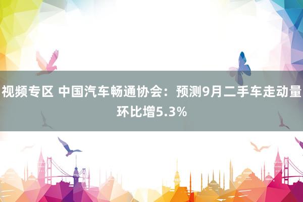 视频专区 中国汽车畅通协会：预测9月二手车走动量环比增5.3%