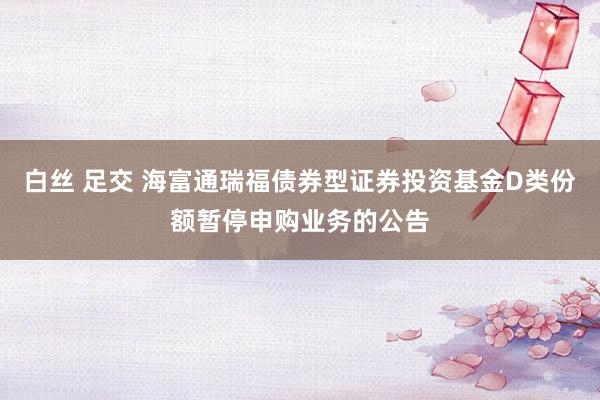 白丝 足交 海富通瑞福债券型证券投资基金D类份额暂停申购业务的公告