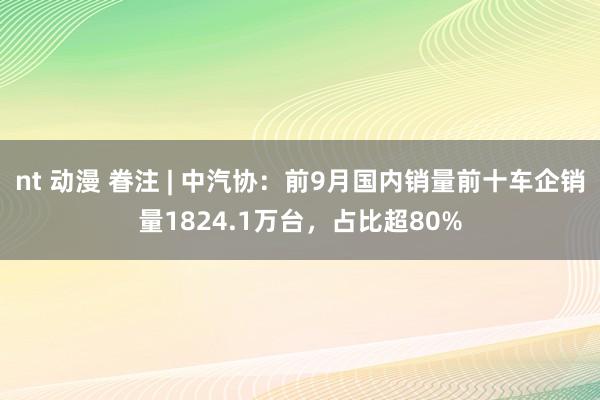 nt 动漫 眷注 | 中汽协：前9月国内销量前十车企销量1824.1万台，占比超80%