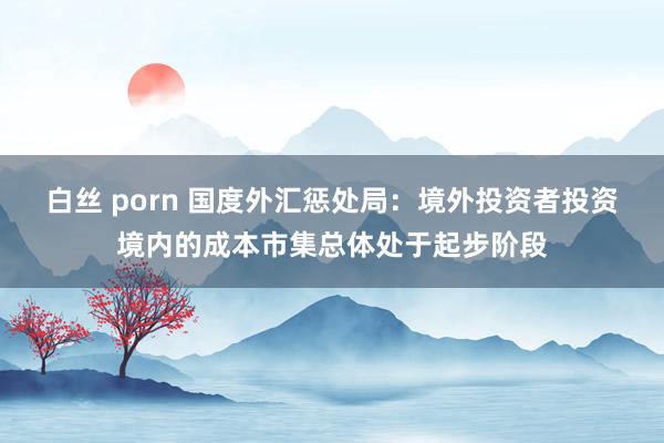 白丝 porn 国度外汇惩处局：境外投资者投资境内的成本市集总体处于起步阶段