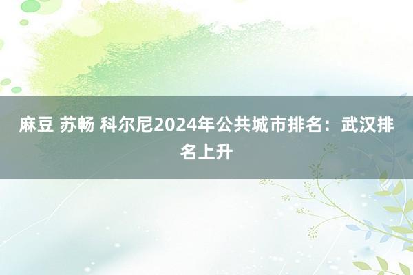 麻豆 苏畅 科尔尼2024年公共城市排名：武汉排名上升