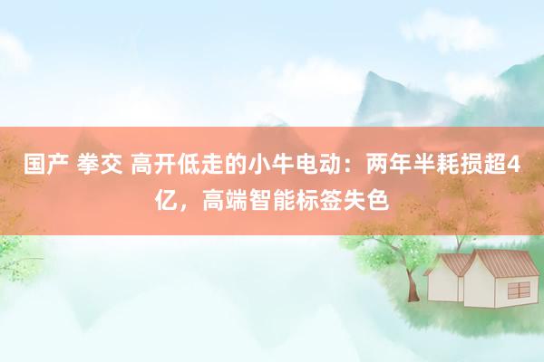 国产 拳交 高开低走的小牛电动：两年半耗损超4亿，高端智能标签失色