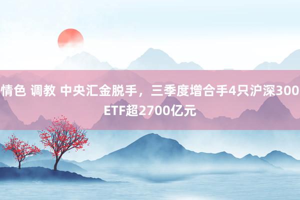 情色 调教 中央汇金脱手，三季度增合手4只沪深300ETF超2700亿元