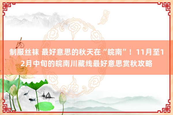 制服丝袜 最好意思的秋天在“皖南”！11月至12月中旬的皖南川藏线最好意思赏秋攻略