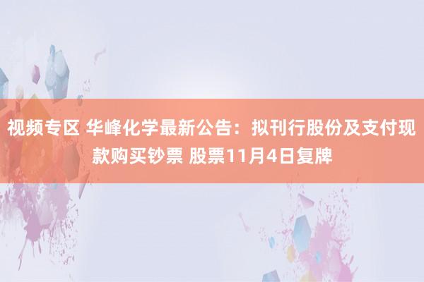 视频专区 华峰化学最新公告：拟刊行股份及支付现款购买钞票 股票11月4日复牌