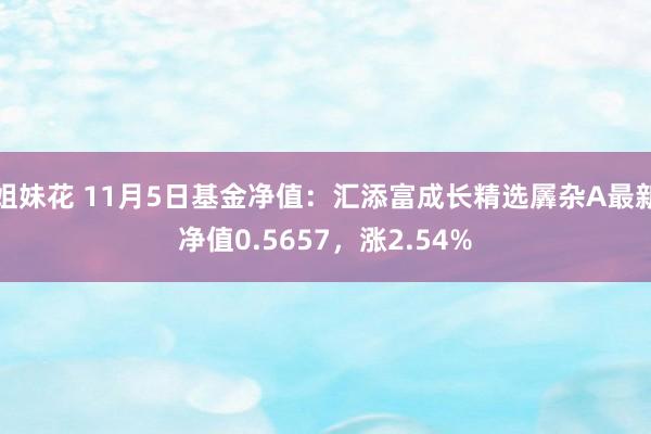 姐妹花 11月5日基金净值：汇添富成长精选羼杂A最新净值0.5657，涨2.54%