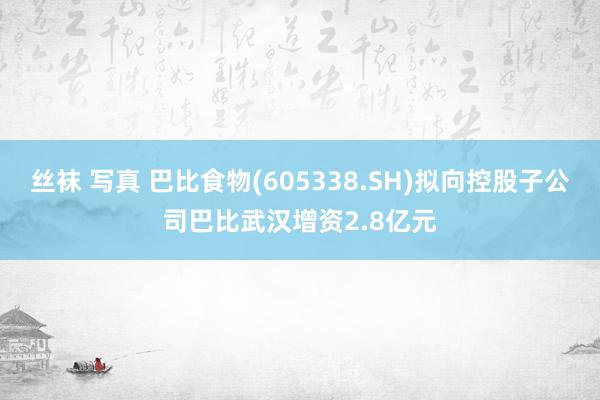 丝袜 写真 巴比食物(605338.SH)拟向控股子公司巴比武汉增资2.8亿元