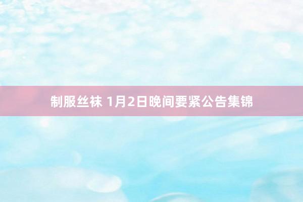 制服丝袜 1月2日晚间要紧公告集锦